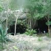 Cenotes