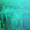 Cenotes