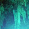 Cenotes