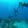 Drifting along Lobster Reef