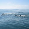 IMG_0886.JPG