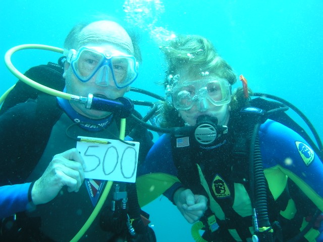 My 500th logged dive