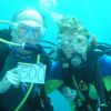 My 500th logged dive