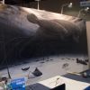 Wyland Booth 4