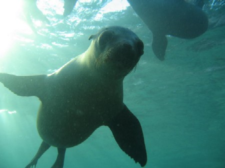 JD seal2.jpg