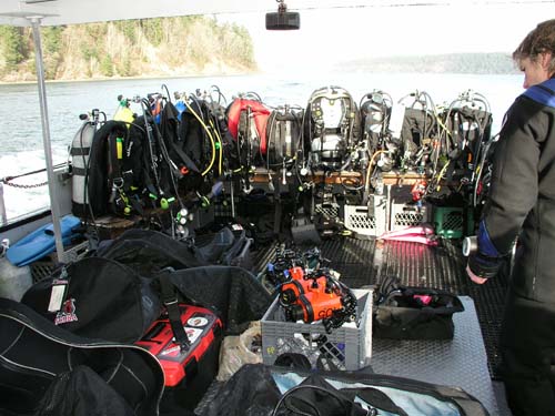 PNW HH Dive North Wall & Zees Reef