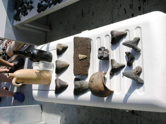 Trophy Shots from Aug 2006