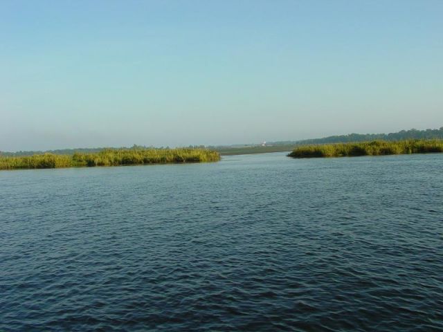 The river is very cool!