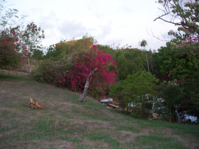 Grenada 096.jpg