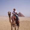 BarracudaBabe on a camel at Giza Pyramids