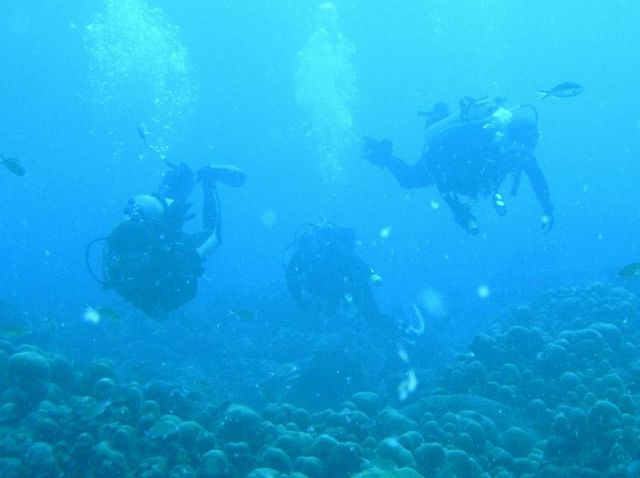 Divers.jpg
