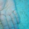 Baby Flounder