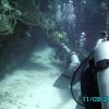 Divers lined up to swim thru reef