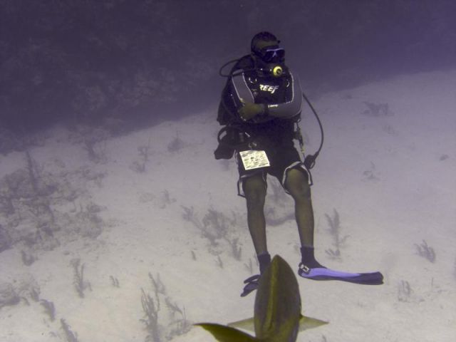 Divemaster checking on his group