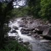 Mossman Gorge