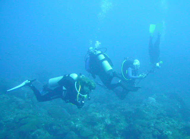 Divers... ScubaPunk, TexasStarfish & others