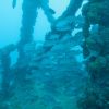 Leeward was full....