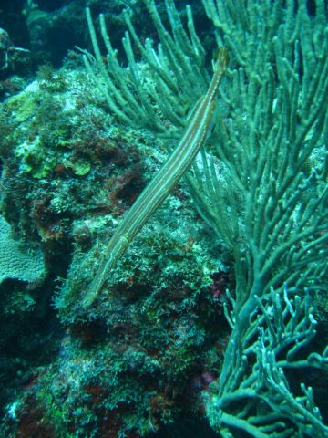 Mona Trip 2009 084.JPG