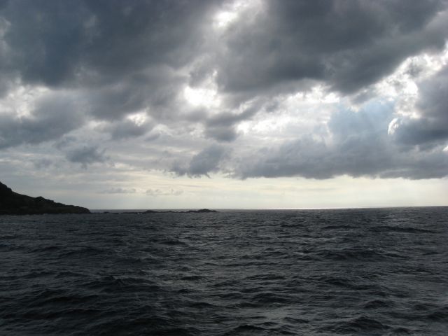 Great dives in the Mona Passage Dec 2009