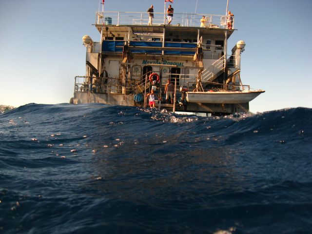 returning to the mother ship at Monito