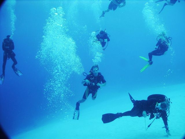 Dancing With Divers