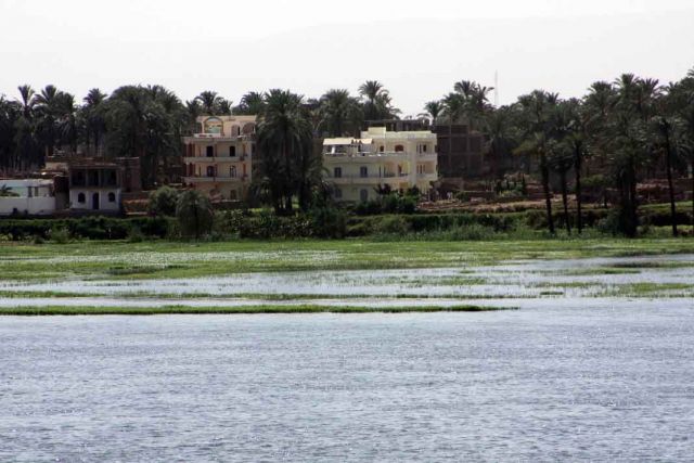 cruise on the Nile