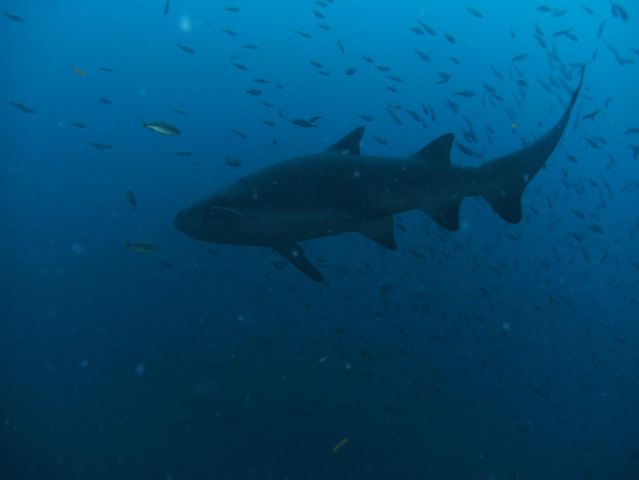 PICT0042.JPG