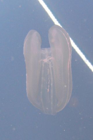PICT0023.JPG