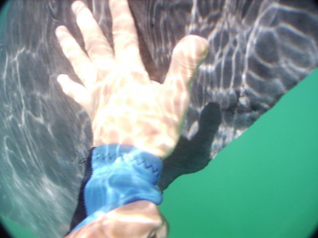 Holbox