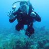 Clint's 50th dive!  Congrats!