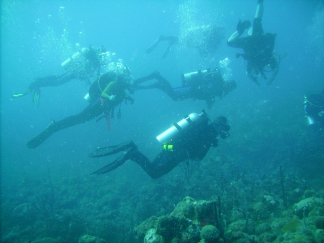 St Kitts - divers pic 2