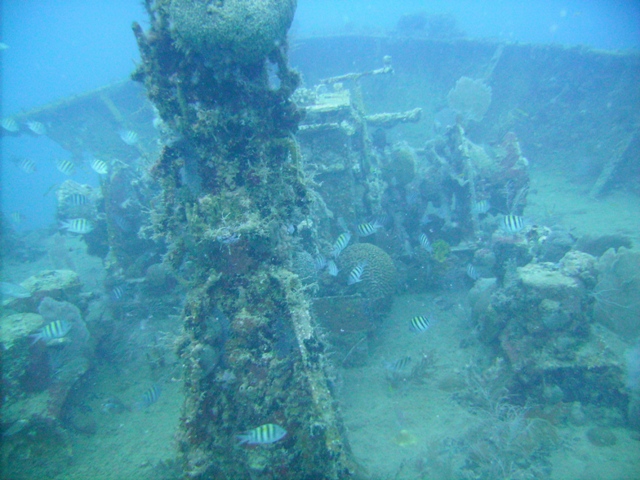 St Kitts River Taw wreck