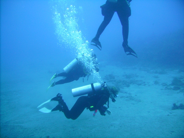 St Kitts - divers pic 1