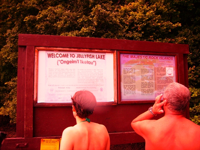 CMaz and Sooner Diver reading jellyfish lake sign