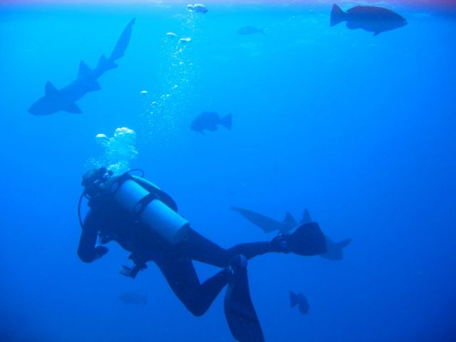IMG_3847 Keith and shark.JPG