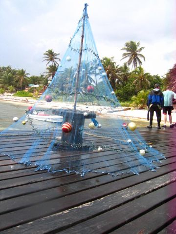 IMG_3833.JPG