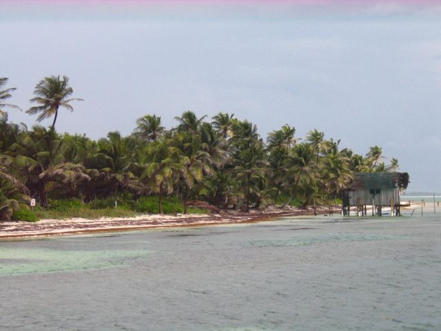 IMG_3839.JPG