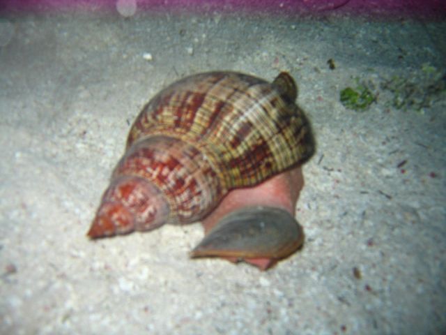 IMG_3802.JPG