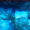 IMG_3871 eel.JPG