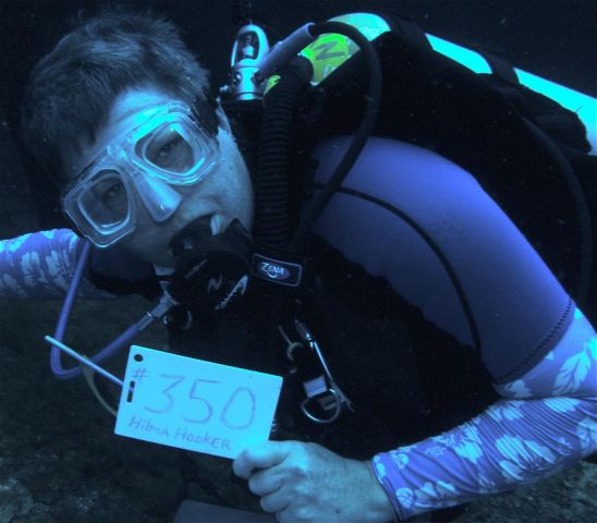Bonaire 2012 - Congratulations Tammy on 350 dives!!!!