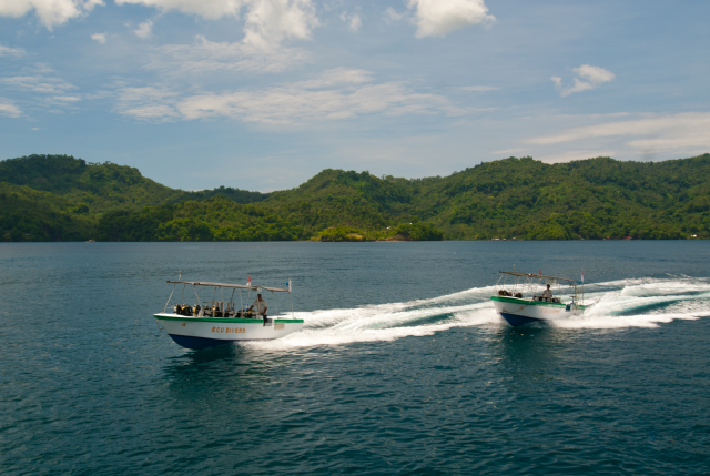 Eco Divers Lembeh Resort Speedboat 2