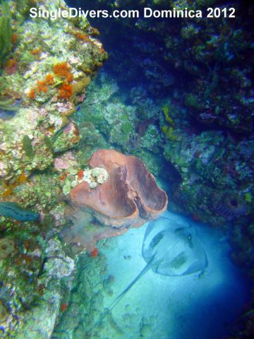 Dominica Nov 2012