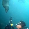 Galapagos copywrite Explorer Ventures