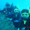 Three Ladies Own... er... On the Wreck