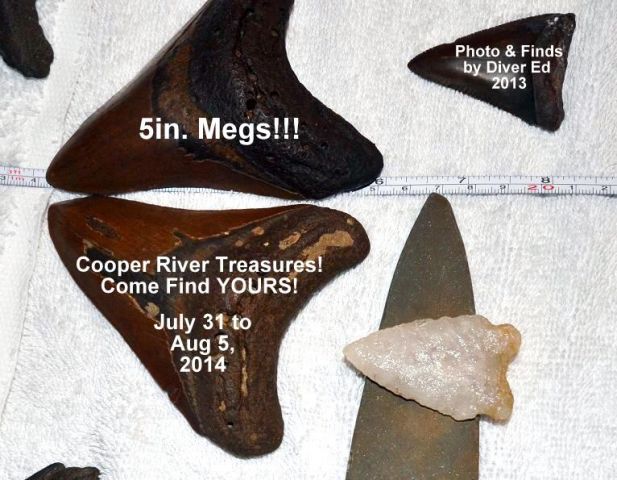 Cooper River Finds