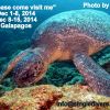 Galapagos by Diver Ed