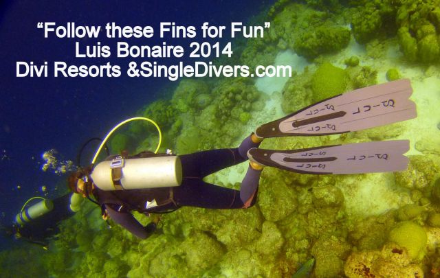 Bonaire BLAST!!! April 2014