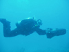 Congratulations dive_addict!!!! - last post by BradfordNC