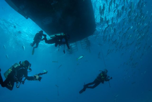 Divers under Turks and Caicos Explorer II