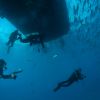 Divers under Turks and Caicos Explorer II